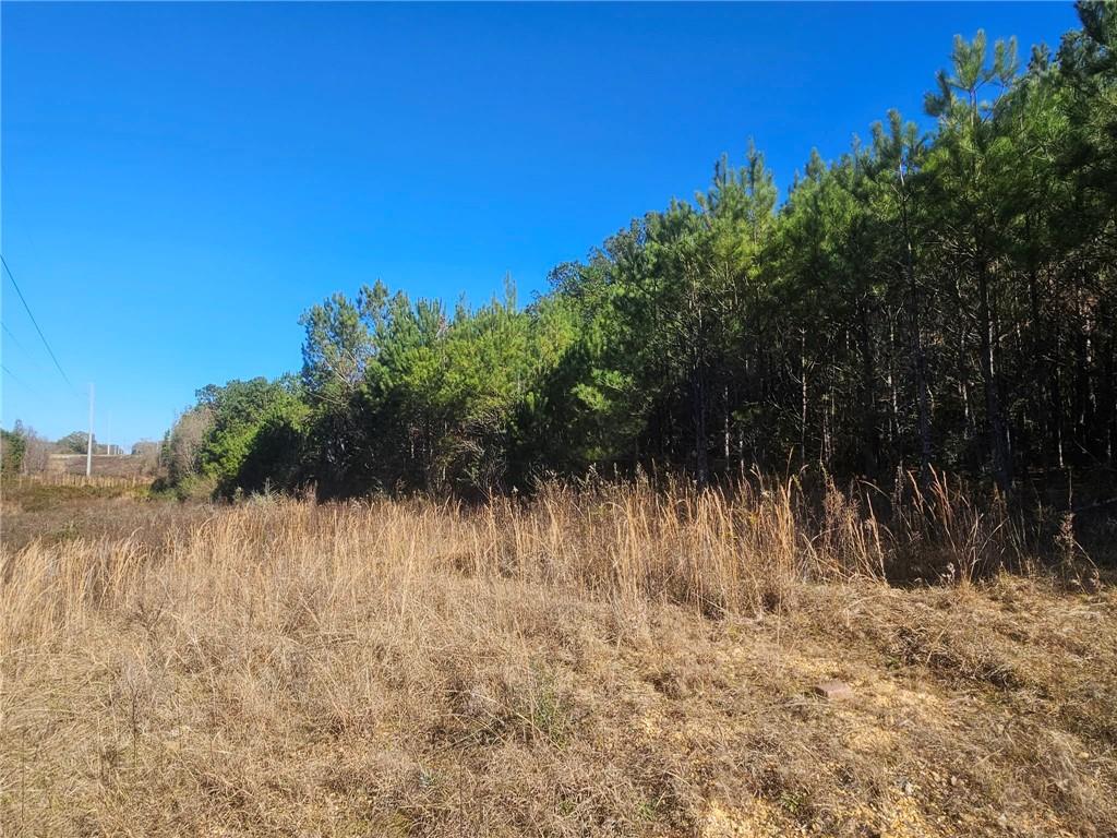 0 Perry Erwin Road Franklinton, LA 70438 - Photo 14 of 29