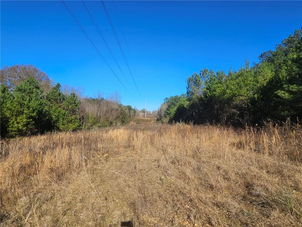 0 Perry Erwin Road Franklinton, LA 70438 - Photo 15 of 29