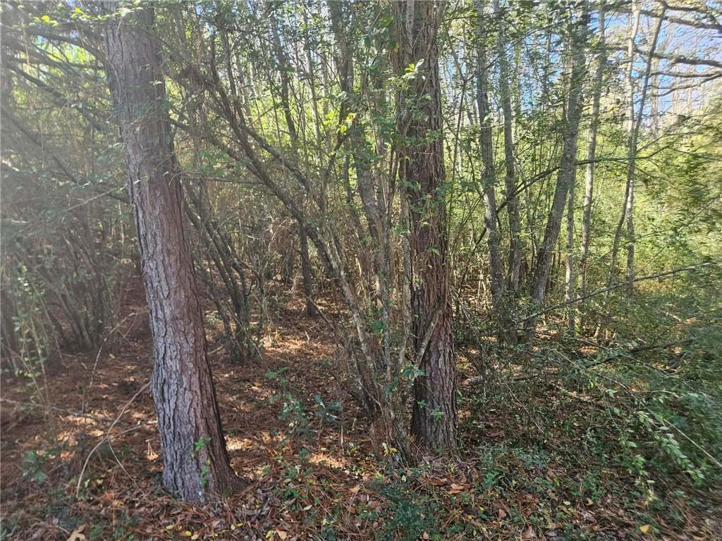 0 Perry Erwin Road Franklinton, LA 70438 - Photo 16 of 29