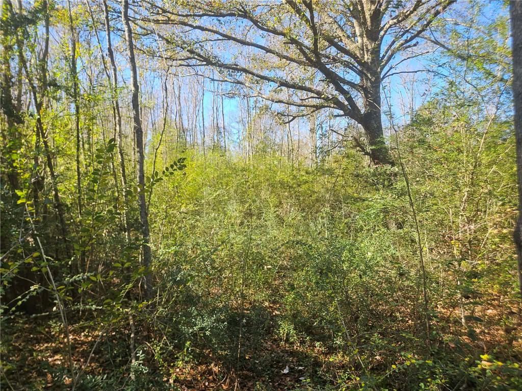 0 Perry Erwin Road Franklinton, LA 70438 - Photo 17 of 29