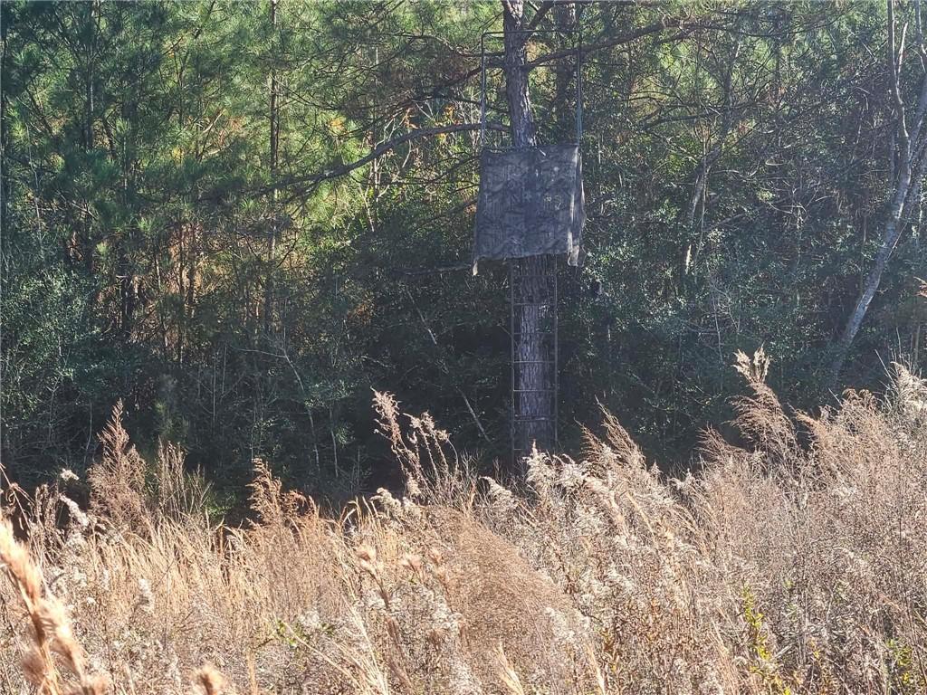 0 Perry Erwin Road Franklinton, LA 70438 - Photo 18 of 29