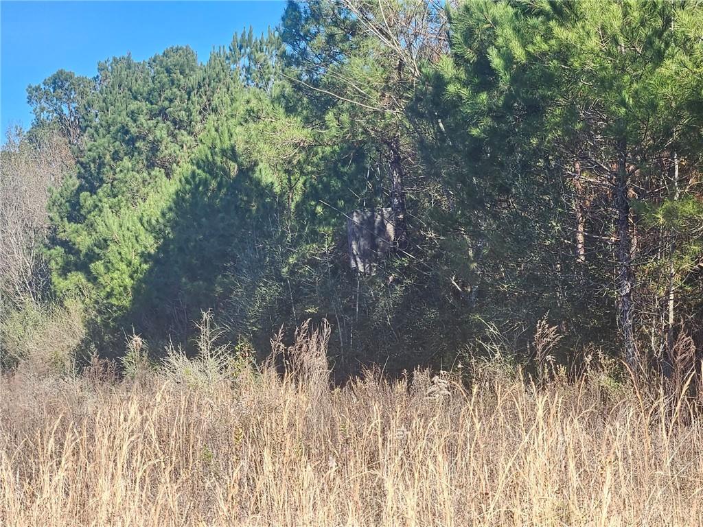 0 Perry Erwin Road Franklinton, LA 70438 - Photo 19 of 29