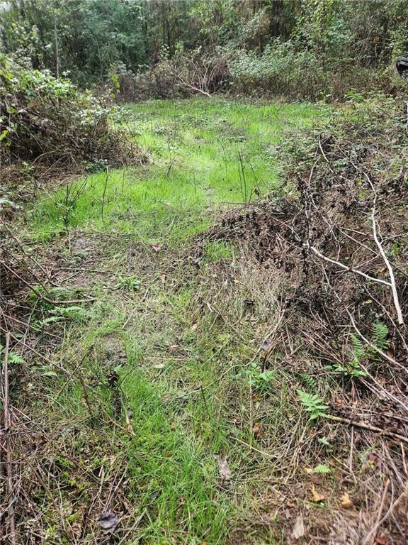 0 Perry Erwin Road Franklinton, LA 70438 - Photo 20 of 29