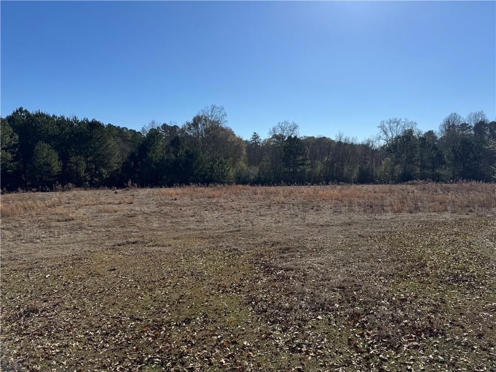 0 Perry Erwin Road Franklinton, LA 70438 - Photo 2 of 29