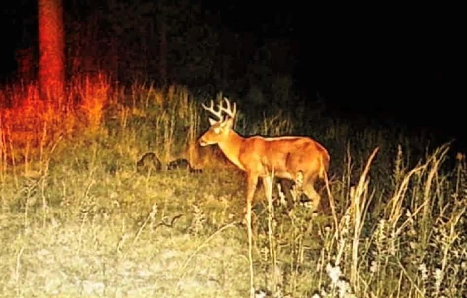 0 Perry Erwin Road Franklinton, LA 70438 - Photo 22 of 29