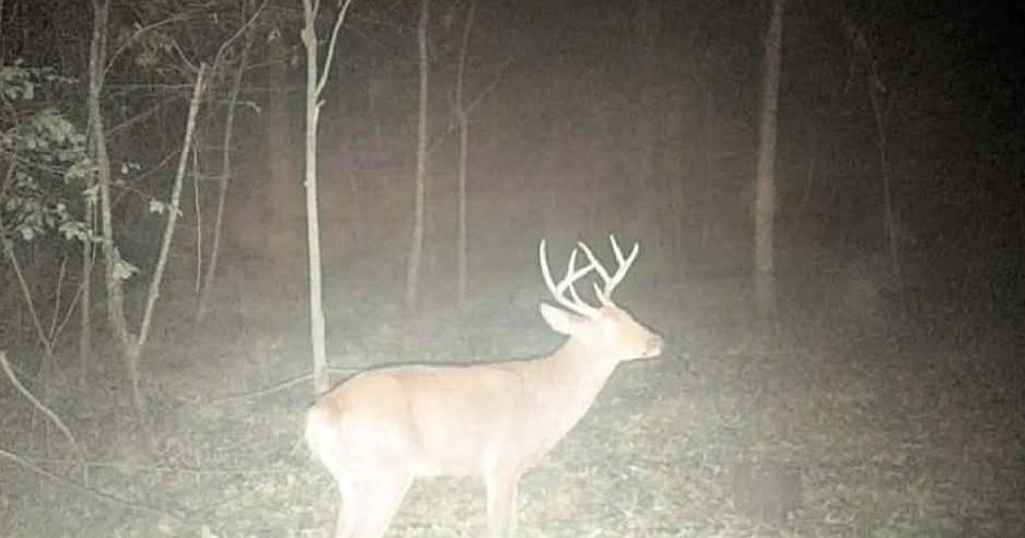 0 Perry Erwin Road Franklinton, LA 70438 - Photo 26 of 29