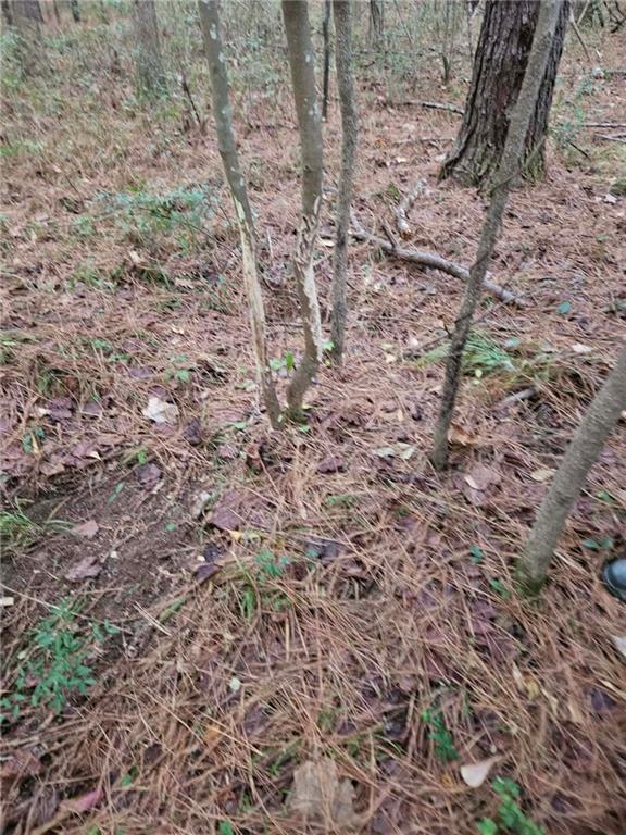 0 Perry Erwin Road Franklinton, LA 70438 - Photo 28 of 29