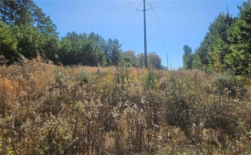 0 Perry Erwin Road Franklinton, LA 70438 - Photo 5 of 29