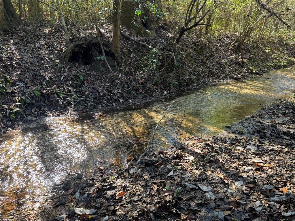 0 Perry Erwin Road Franklinton, LA 70438 - Photo 6 of 29