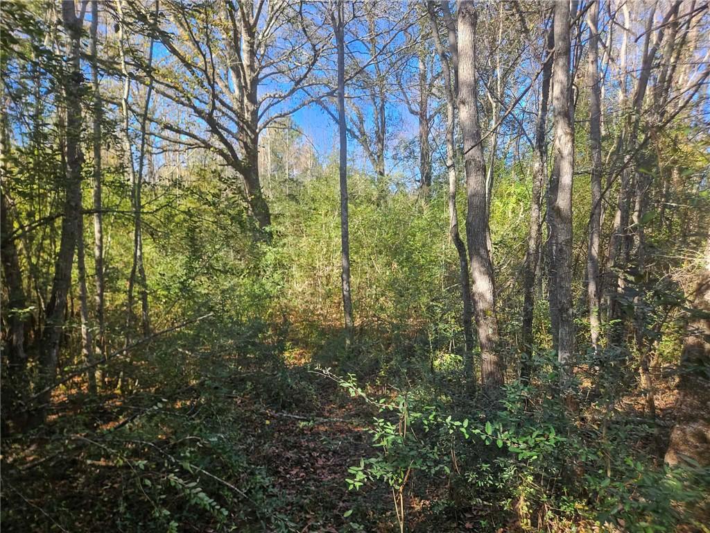 0 Perry Erwin Road Franklinton, LA 70438 - Photo 7 of 29