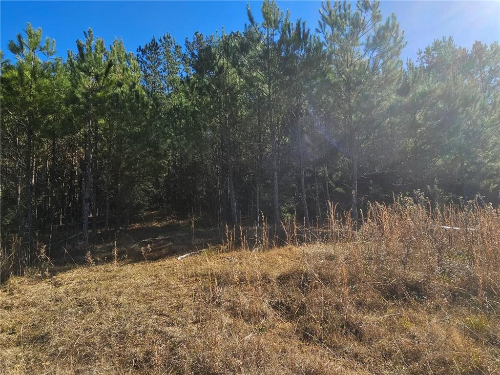 0 Perry Erwin Road Franklinton, LA 70438 - Photo 8 of 29