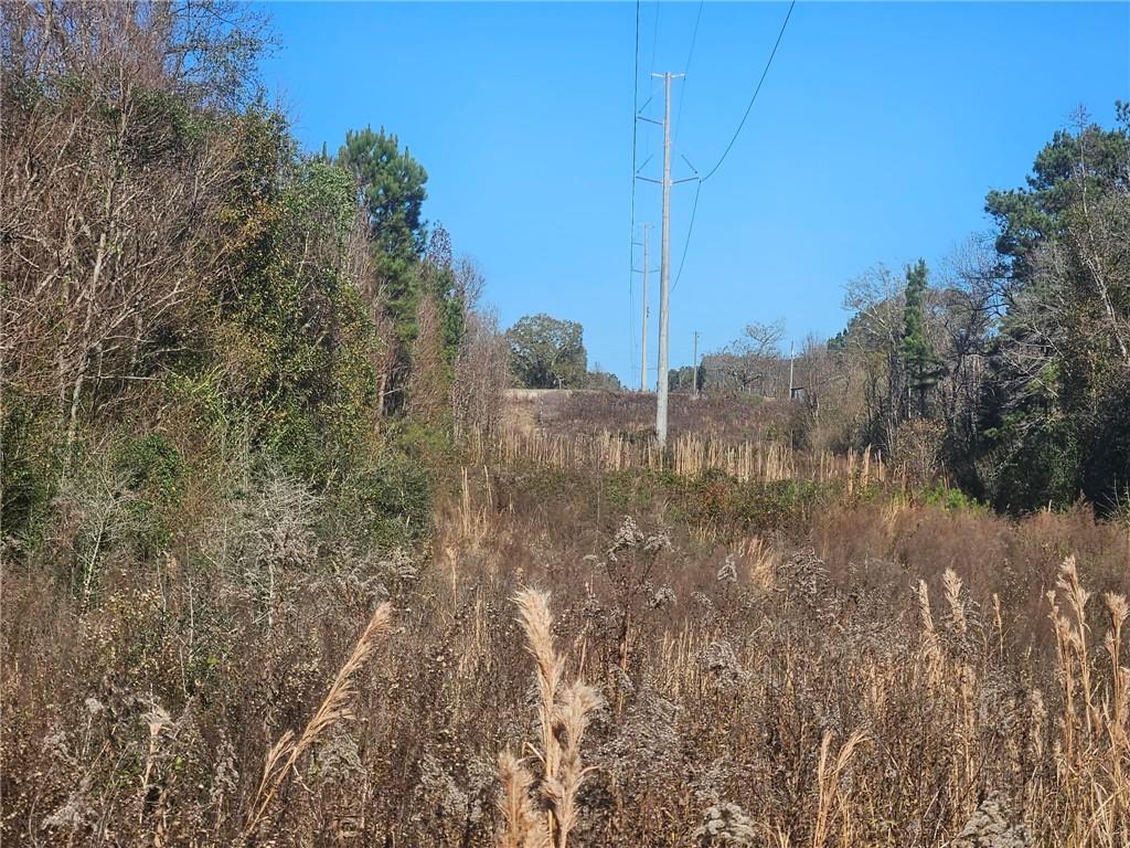 0 Perry Erwin Road Franklinton, LA 70438 - Photo 10 of 29