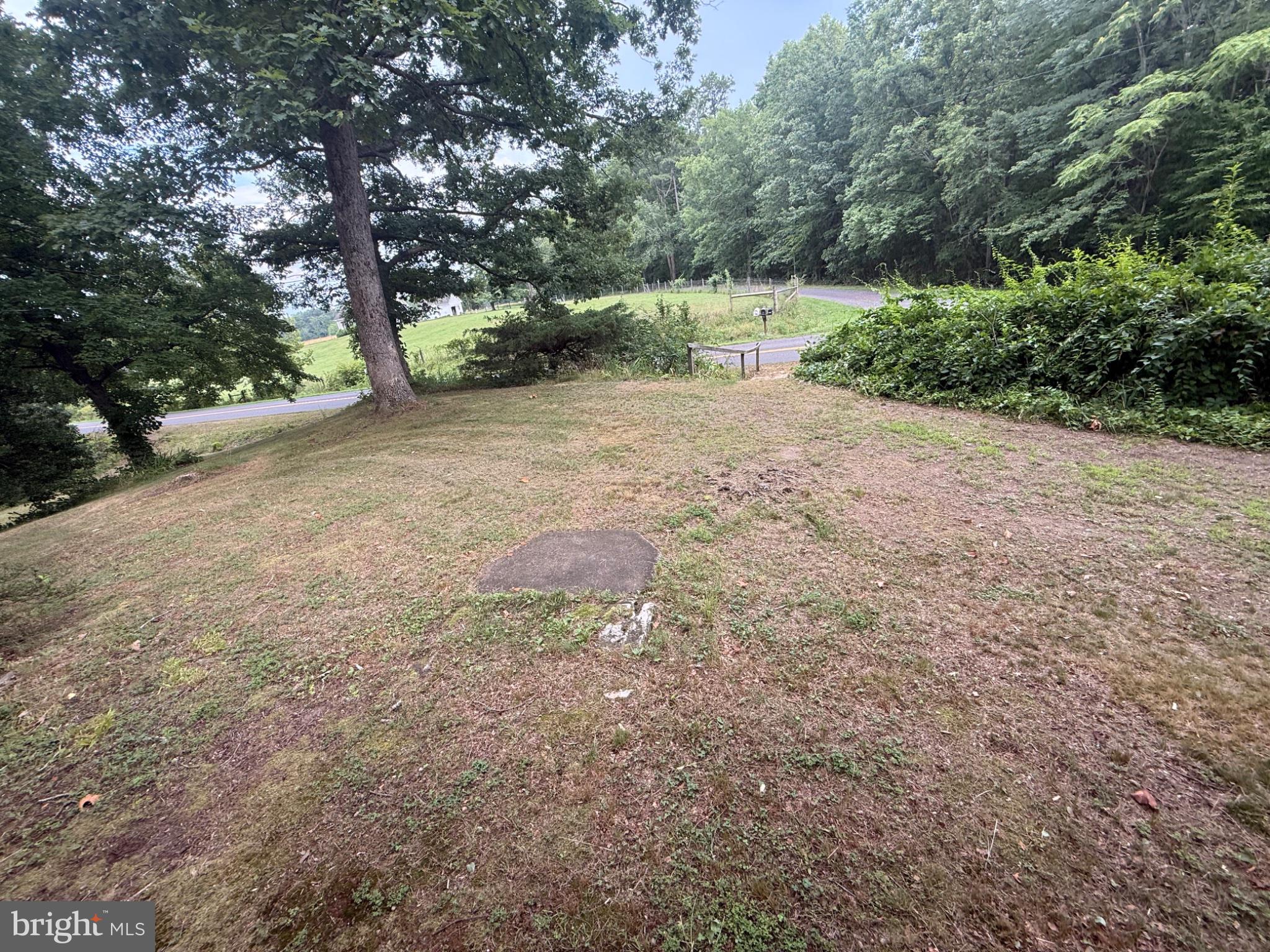 17400 Hudson Road Culpeper, VA 22701 - Photo 21 of 23 Serene landscape with winding path.