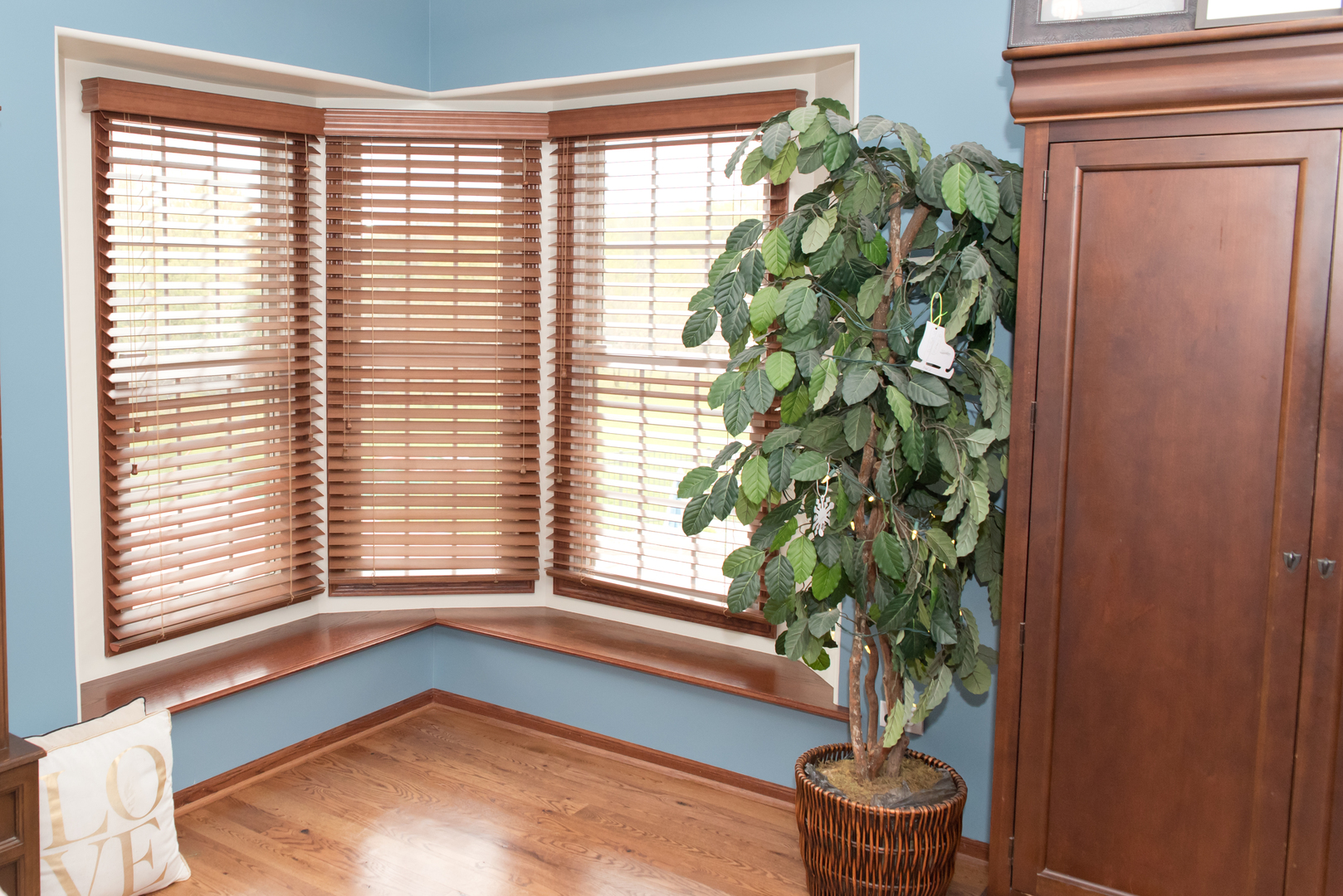 3773 Spring Run Lane Morris, IL 60450 - Photo 22 of 49 a window in a room next to a window