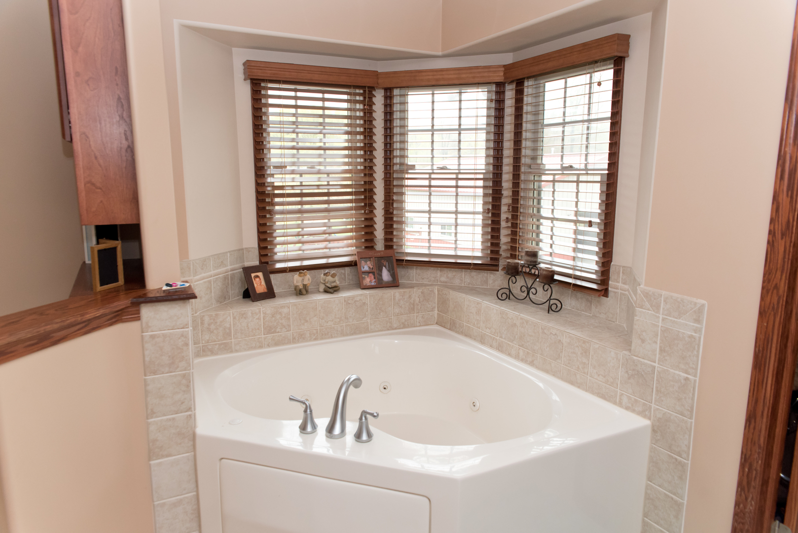 3773 Spring Run Lane Morris, IL 60450 - Photo 23 of 49 a bath tub sitting in a bathroom next to a window