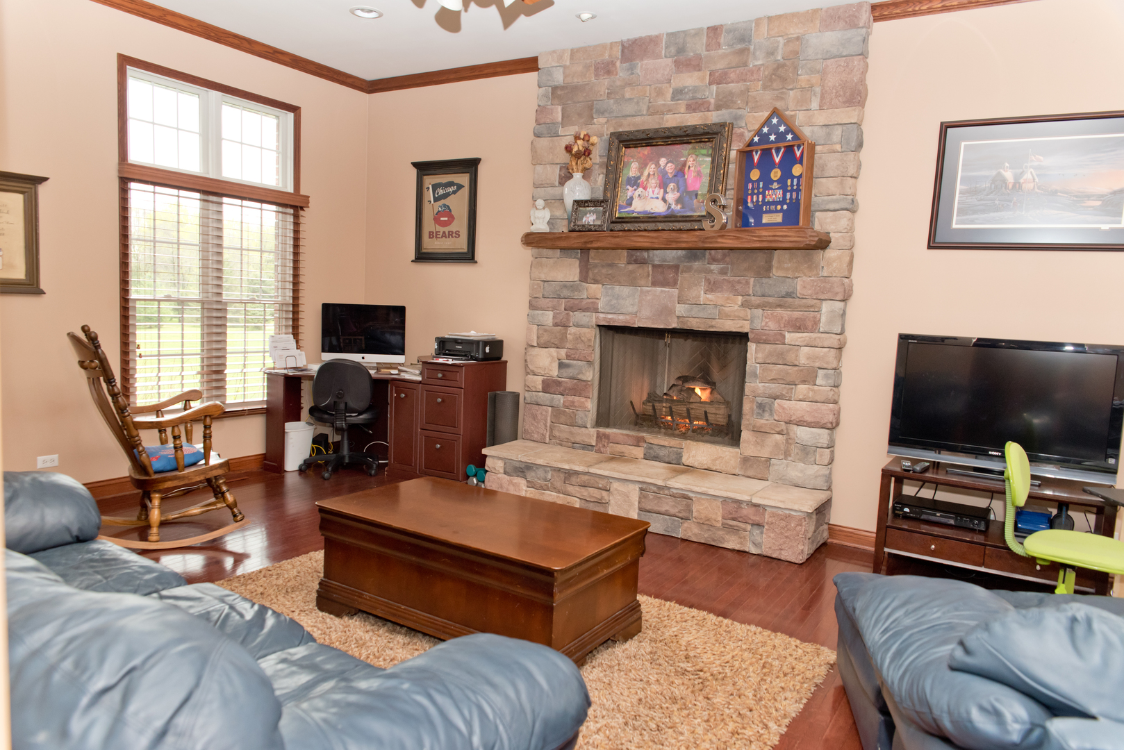 3773 Spring Run Lane Morris, IL 60450 - Photo 8 of 49 a living room with furniture a flat screen tv and a fireplace