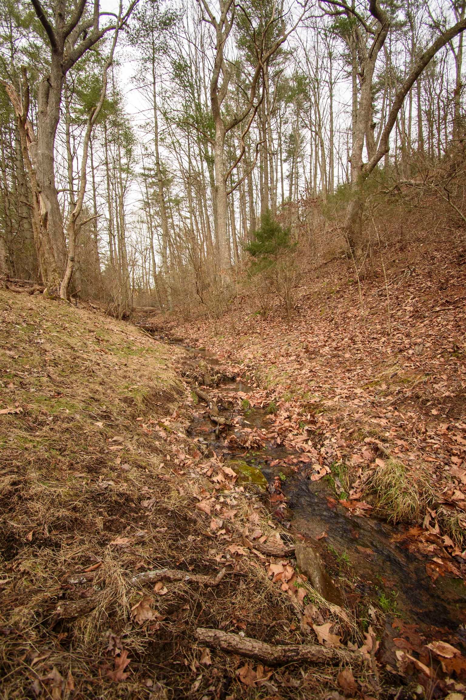 Tbd Lot 8 Tbd Road Draper, VA 24324 - Photo 8 of 33 Gallery Image 8