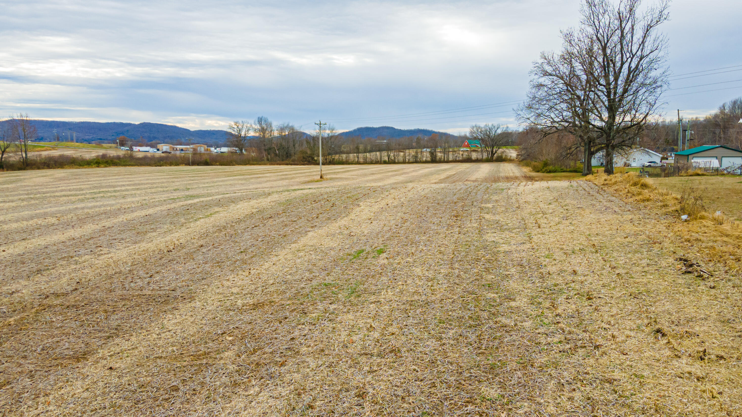 181 Surrey Hill Road Monticello, KY 42633 - Photo 9 of 16 HWY 90 -12