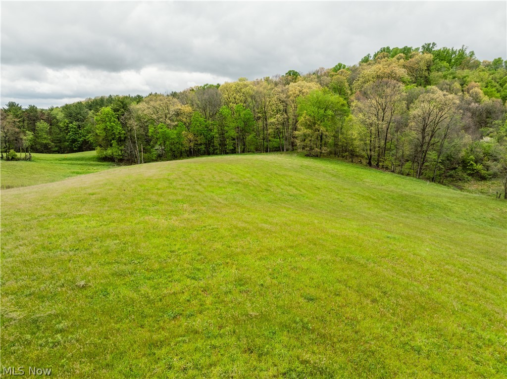 Timmerman Road Bowerston, OH 44695 - Photo 19 of 26