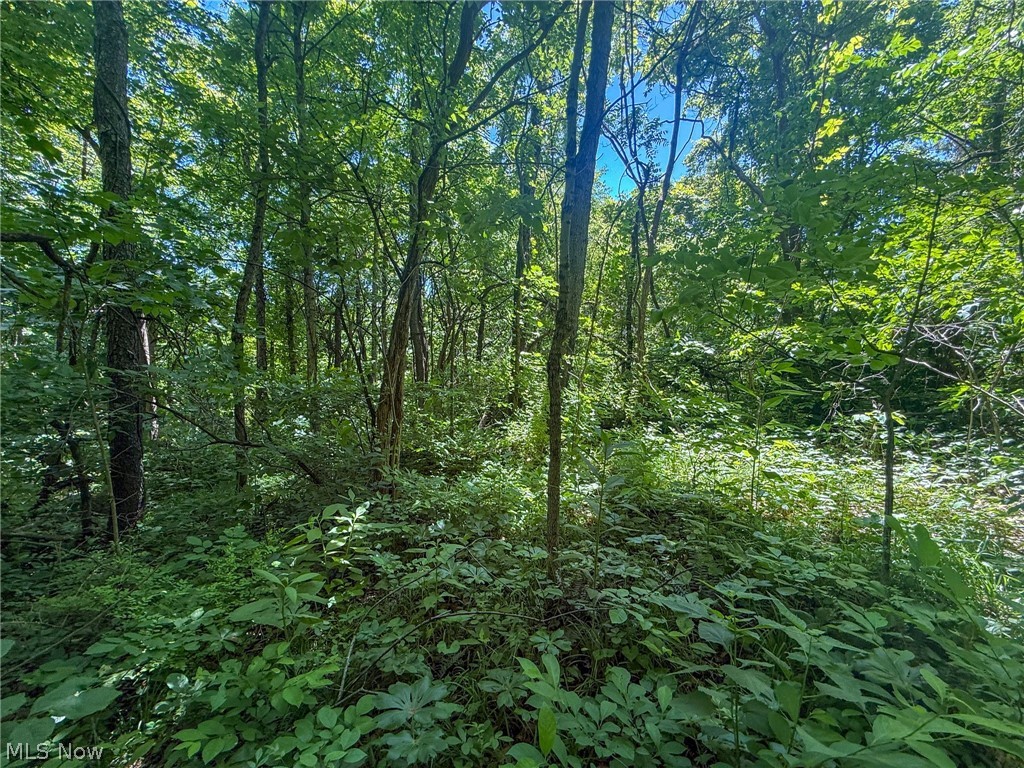 Keffer Road Stockport, OH 43787 - Photo 20 of 25