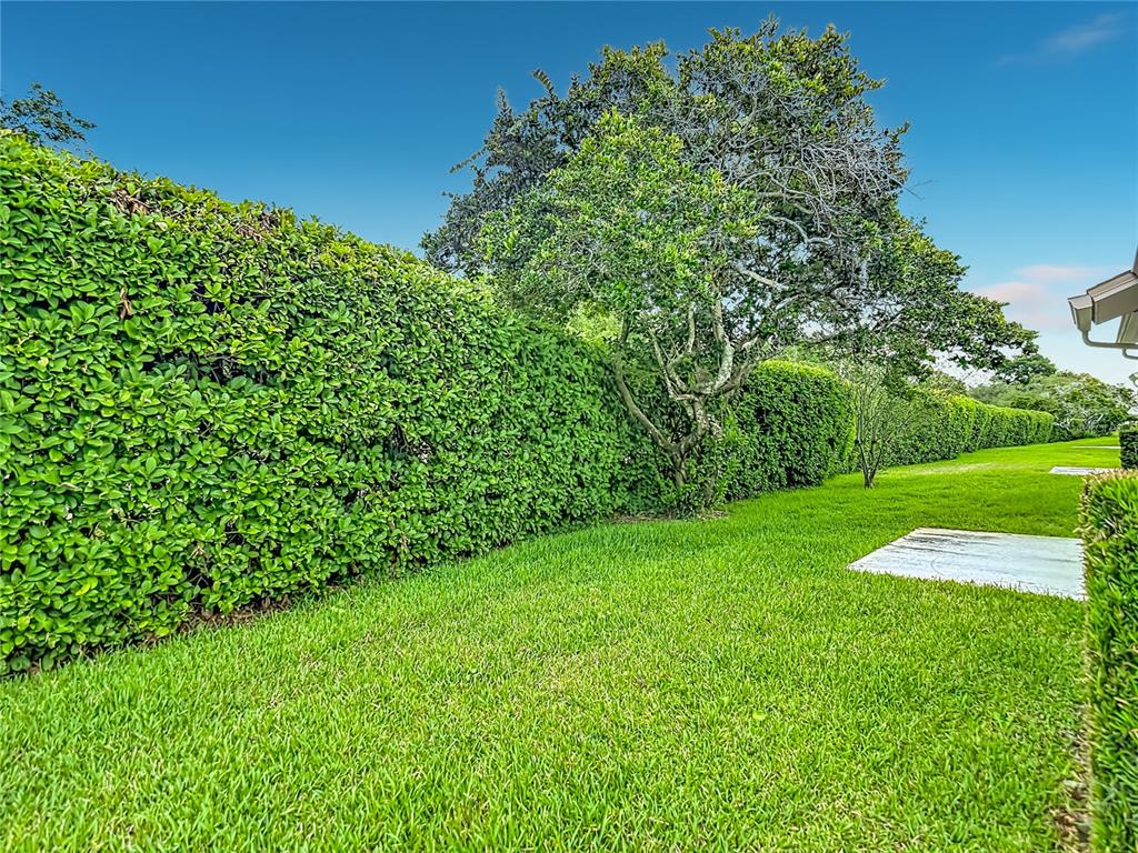 11541 Orleans Lane Port Richey, FL 34668 - Photo 36 of 52