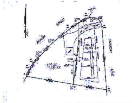 a picture of a vase of flowers