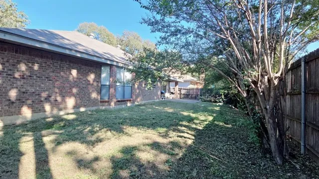 a view of a yard with plants and large trees
