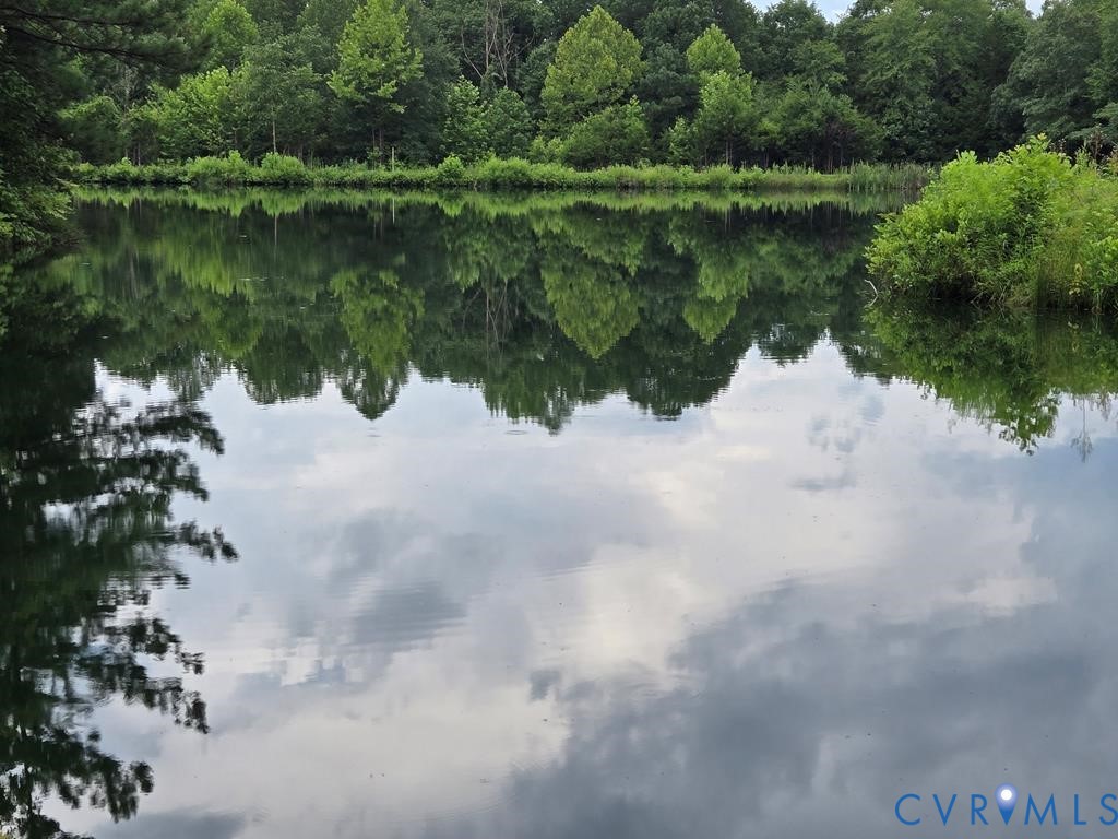1545 Cumberland Road Farmville, VA 23901 - Photo 15 of 22 Gallery Image 15