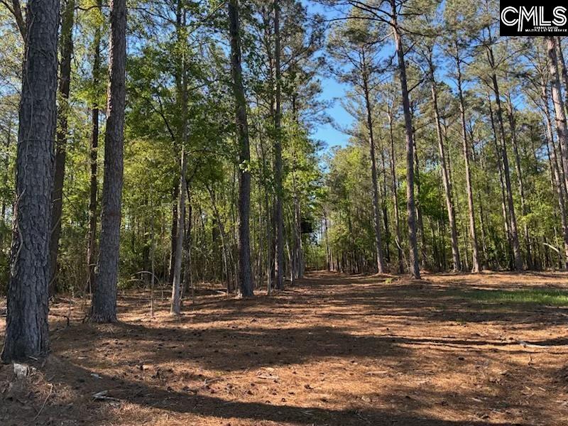 0 Mud Creek Road Newberry, SC 29108 - Photo 4 of 10