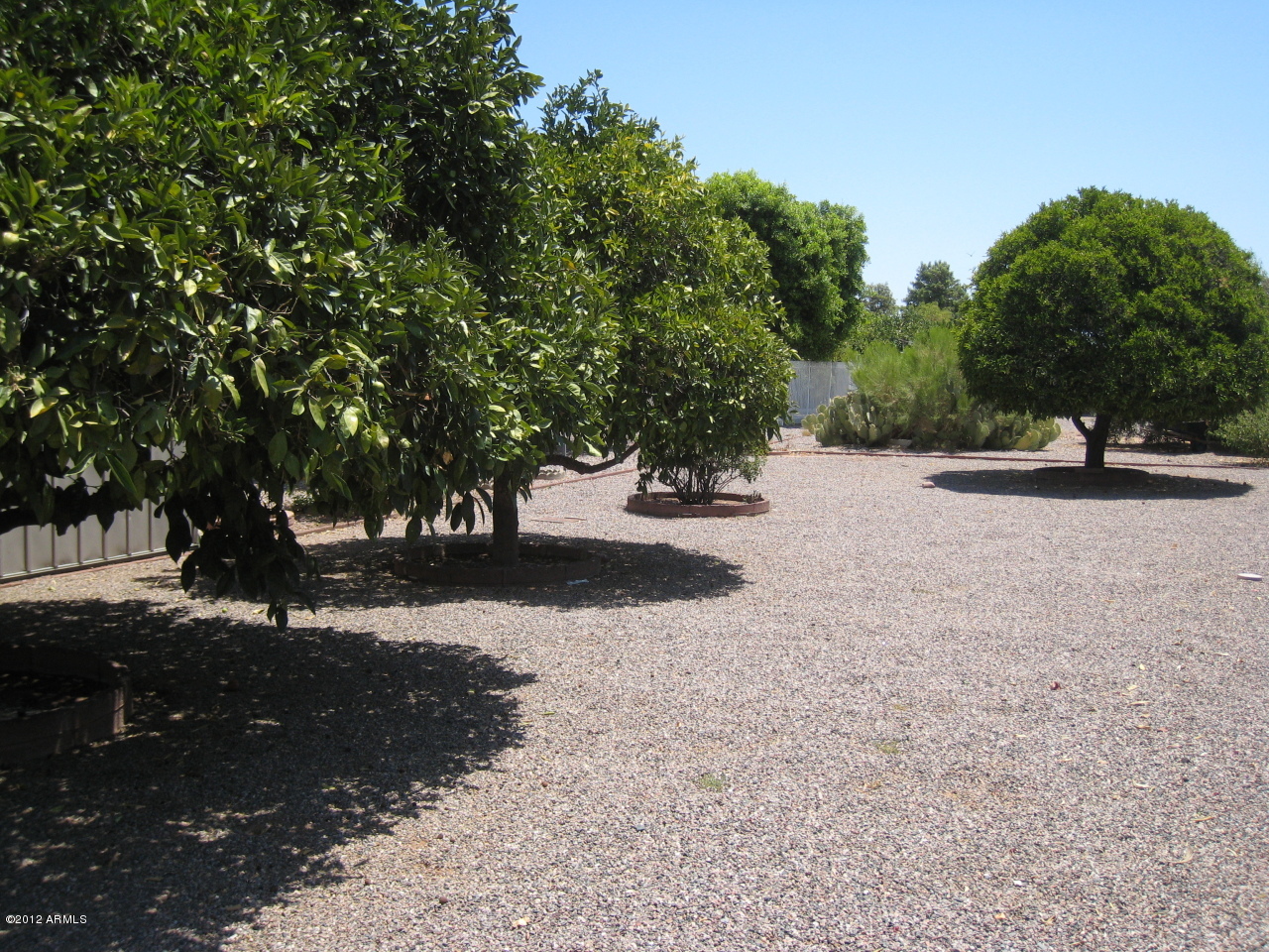 5440 East Decatur Street Mesa, AZ 85205 - Photo 20 of 21 Big fruit trees, back yard