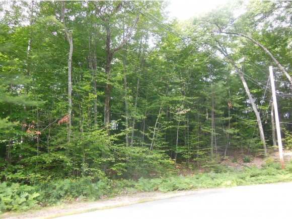 Lot 17 Moat Mountain Road Intervale, NH 03845 - Photo 3 of 6