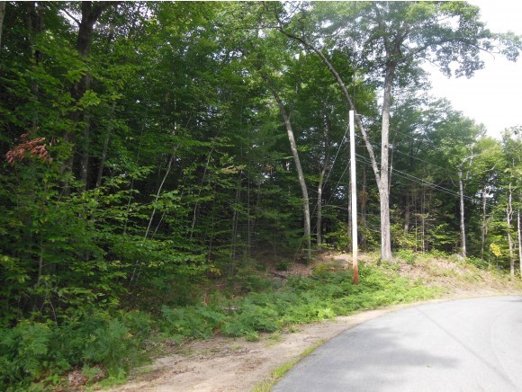 Lot 17 Moat Mountain Road Intervale, NH 03845 - Photo 5 of 6