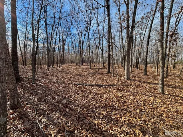 $159,900 | 19 North Highway 19, Salem, MO 65560