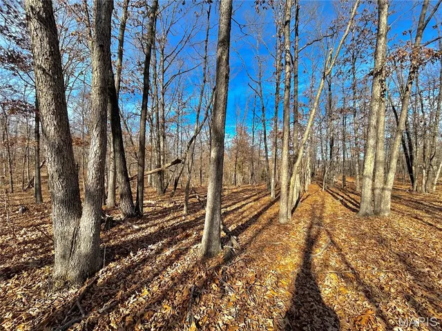 $159,900 | 19 North Highway 19, Salem, MO 65560