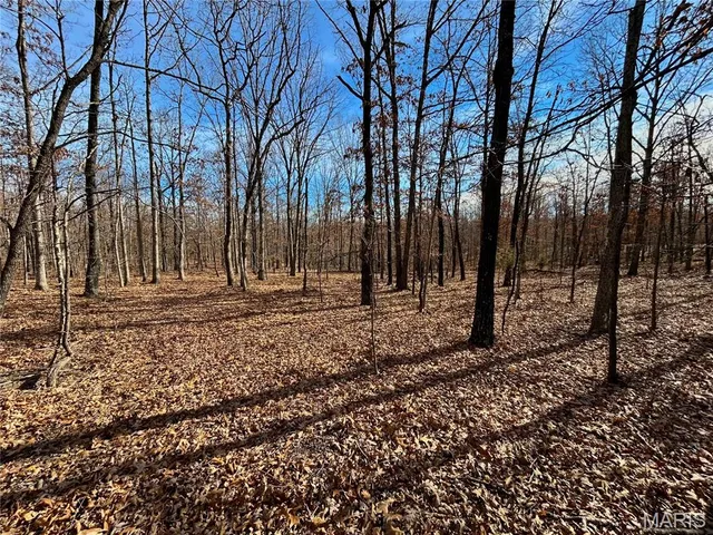 $159,900 | 19 North Highway 19, Salem, MO 65560