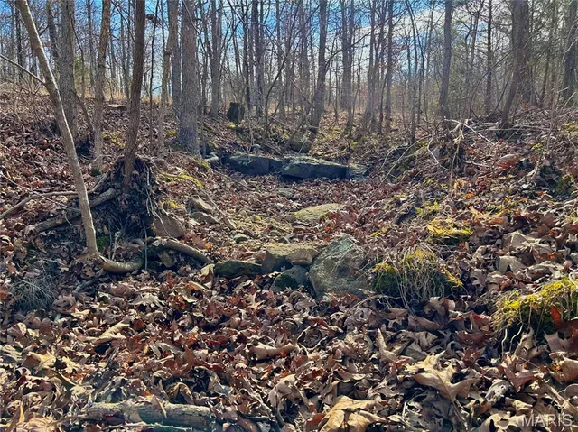 $159,900 | 19 North Highway 19, Salem, MO 65560