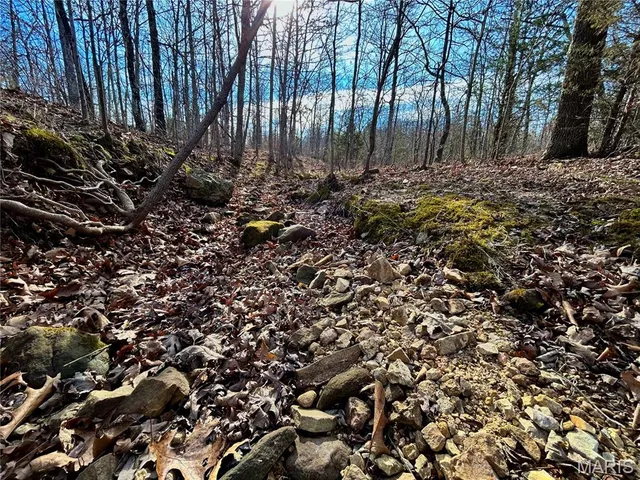 $159,900 | 19 North Highway 19, Salem, MO 65560