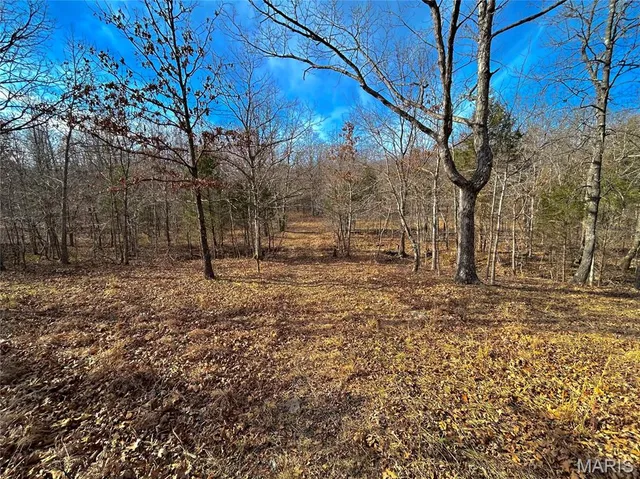 $159,900 | 19 North Highway 19, Salem, MO 65560