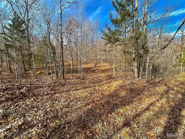 $159,900 | 19 North Highway 19, Salem, MO 65560