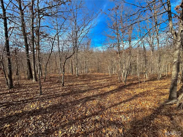 $159,900 | 19 North Highway 19, Salem, MO 65560