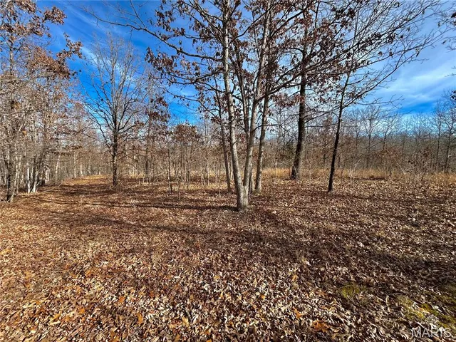 $159,900 | 19 North Highway 19, Salem, MO 65560