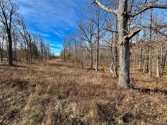 $159,900 | 19 North Highway 19, Salem, MO 65560