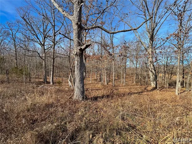 $159,900 | 19 North Highway 19, Salem, MO 65560