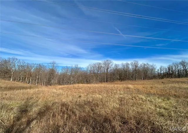 $159,900 | 19 North Highway 19, Salem, MO 65560