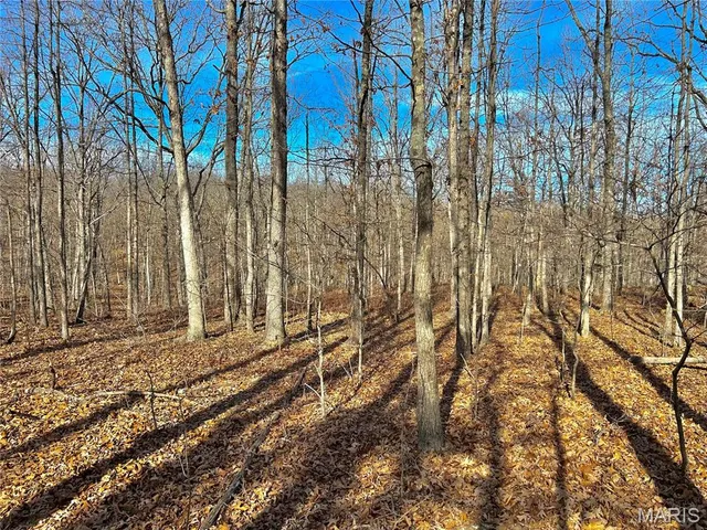 $159,900 | 19 North Highway 19, Salem, MO 65560