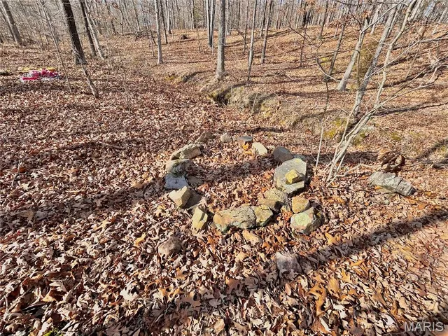 $159,900 | 19 North Highway 19, Salem, MO 65560