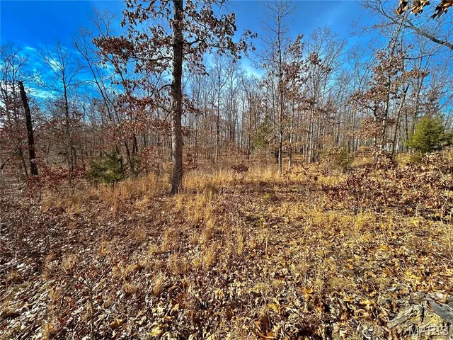 $159,900 | 19 North Highway 19, Salem, MO 65560