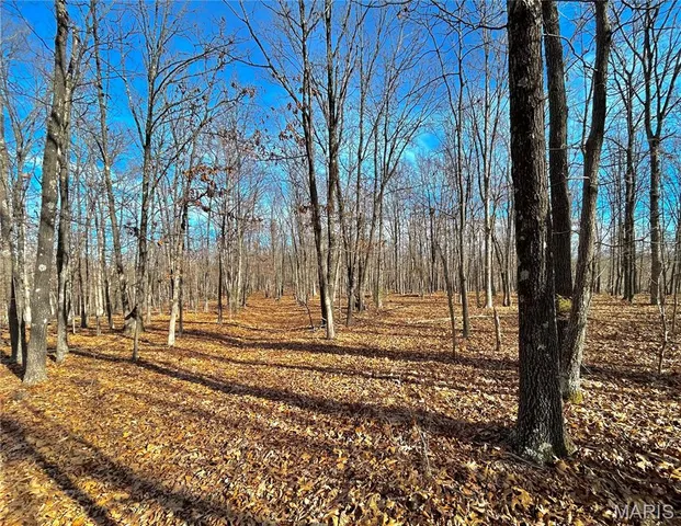 $159,900 | 19 North Highway 19, Salem, MO 65560