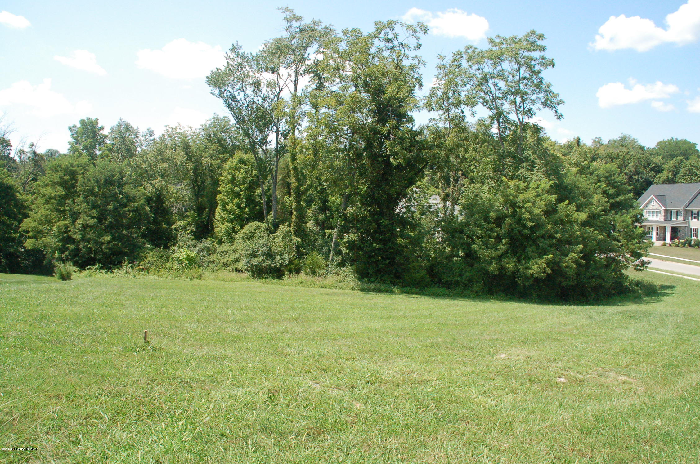 6711 Regal Road Louisville, KY 40222 - Photo 7 of 20 Upper side of lot, looking down Regal Road (on right side)