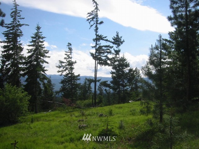 2-lot 2-lot Ridge Road Cle Elum, WA 98922 - Photo 2 of 6 Gallery Image 2